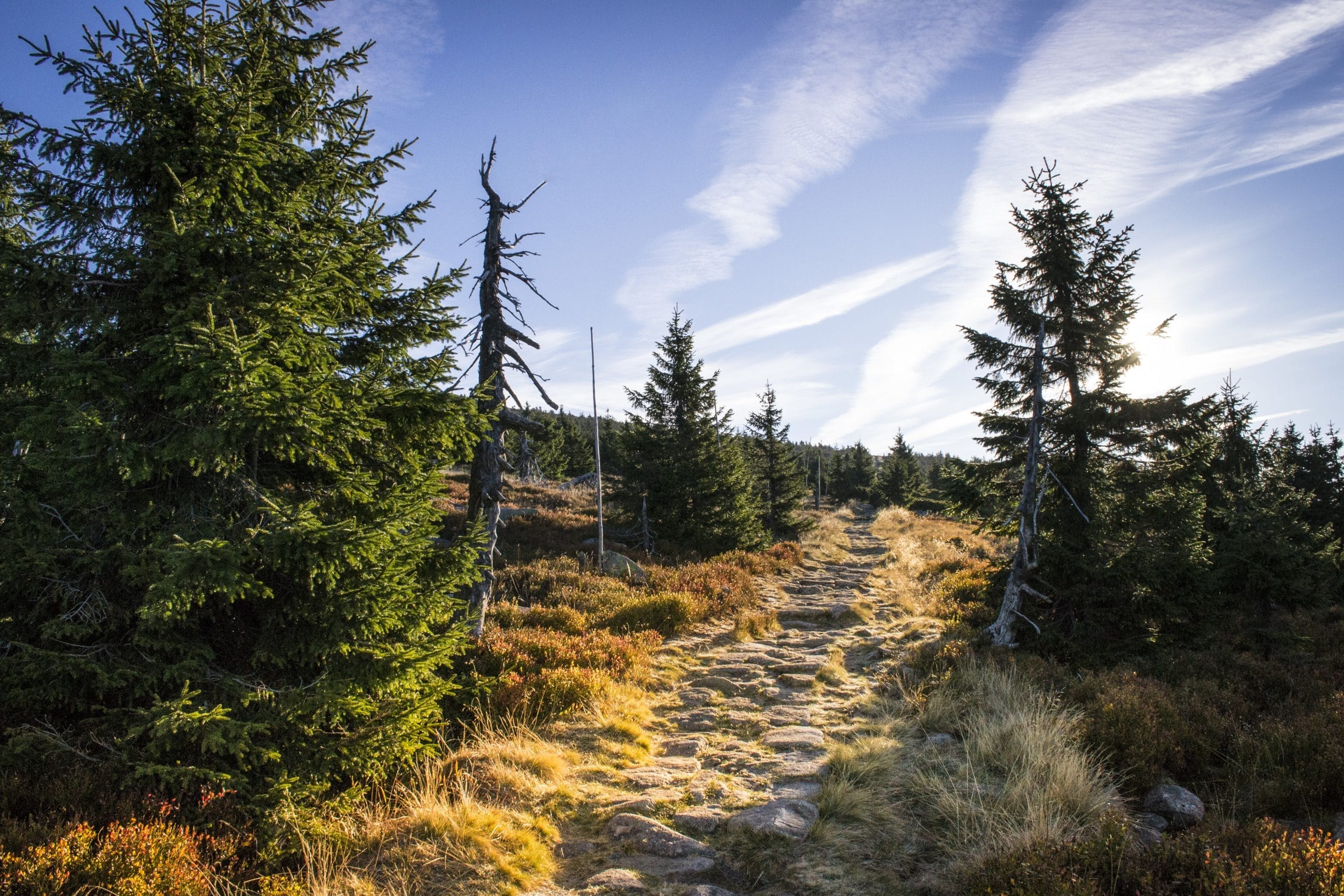 Krkonoše výšlap U Dvou Kocourů, Růženčina zahrádka